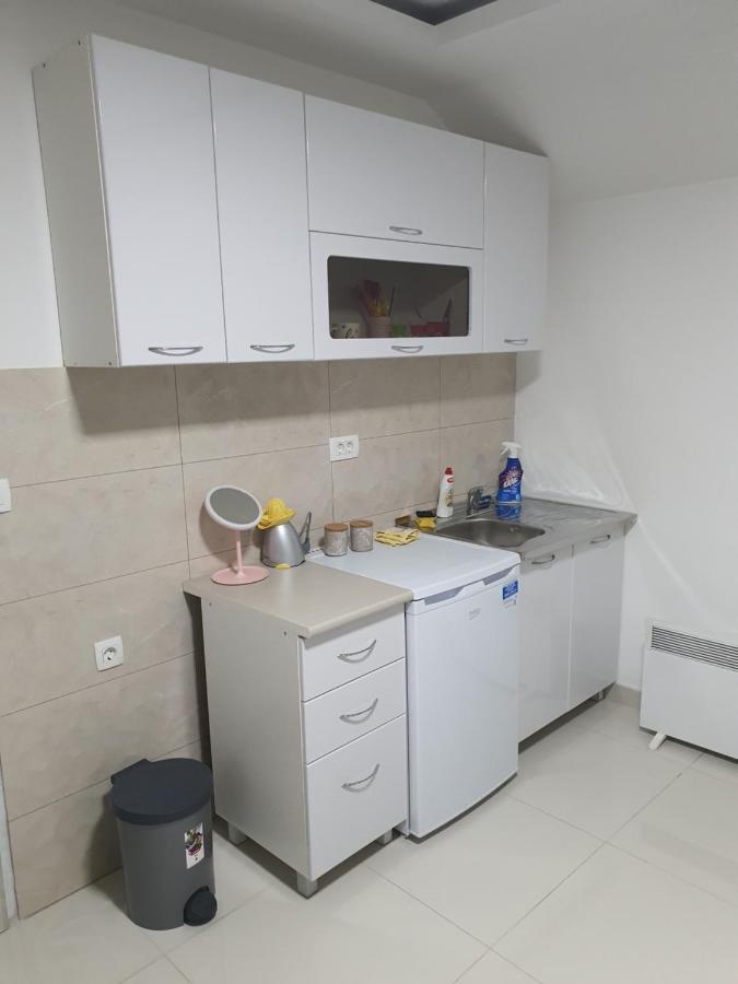 Apartman Tolosi 2 Podgorica Bagian luar foto